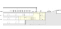 Orange Fish